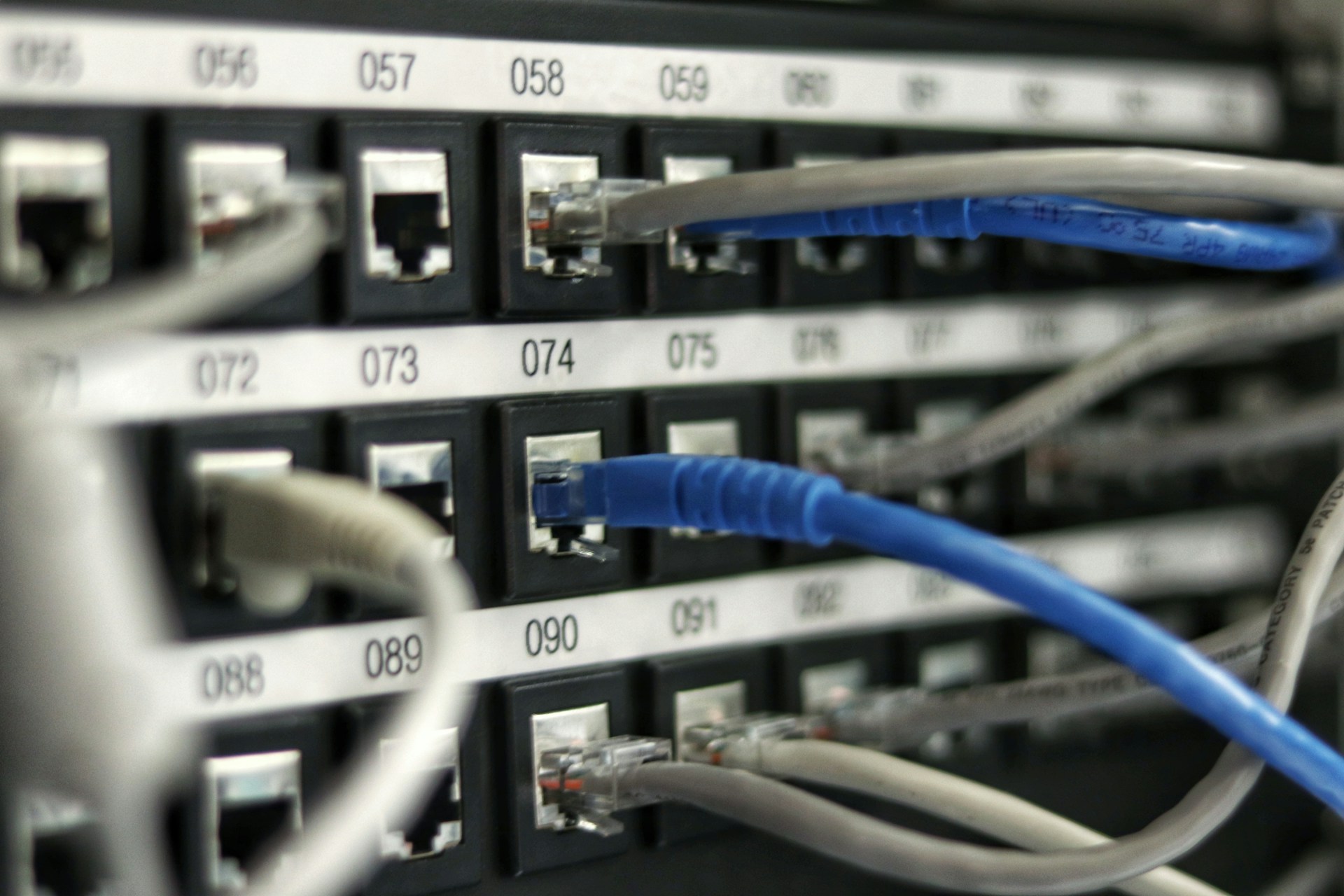 Blue and gray Ethernet cables plugged into a numbered network patch panel.
