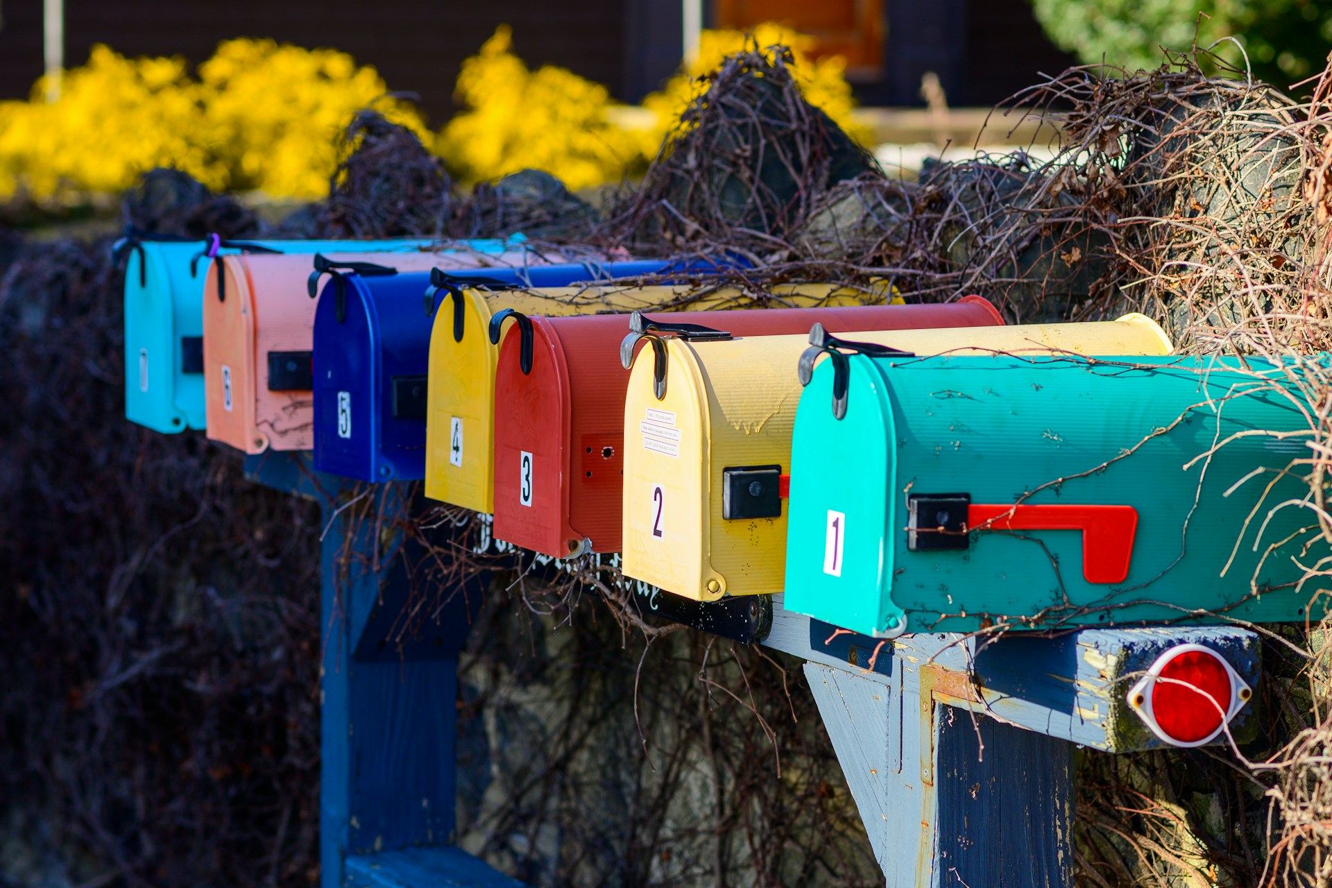 A row of brightly colored, numbered roadside mailboxes on a post.